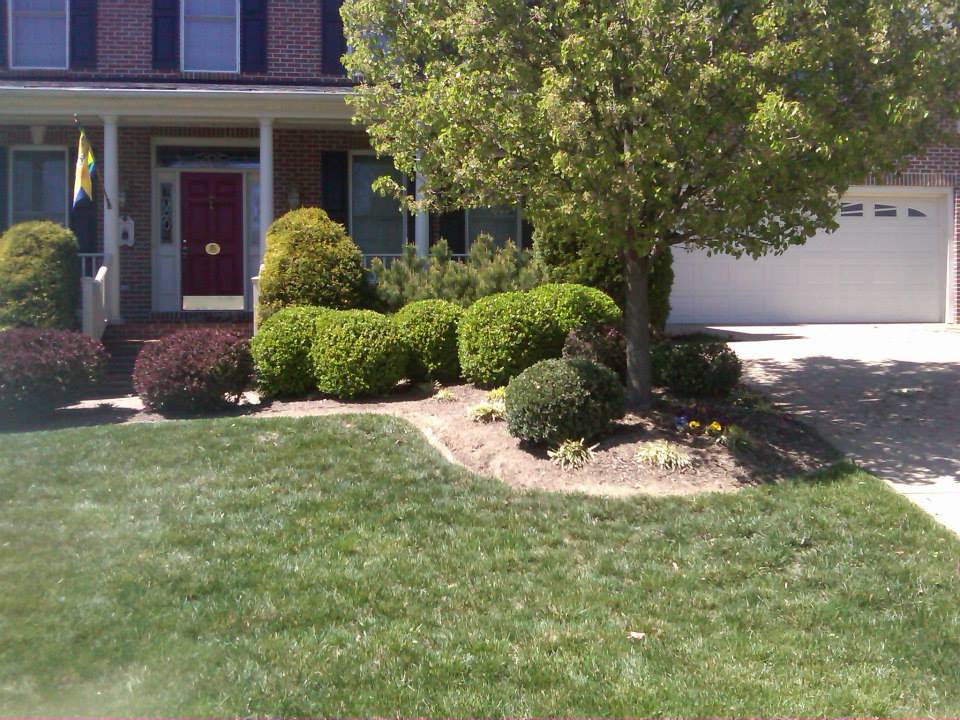 Fresh Cut Lawn Service, Residential & Commercial Winchester, VA